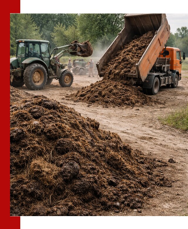 Доставка навоза самосвалами в Спасске-Дальнем для сельхозпотребностей