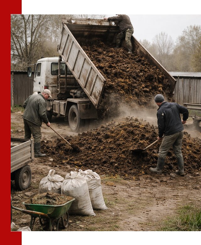 Доставка коровьего навоза самосвалом в Спасске-Дальнем